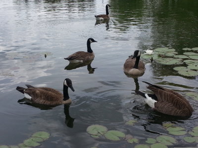 20160604_124046.jpg
