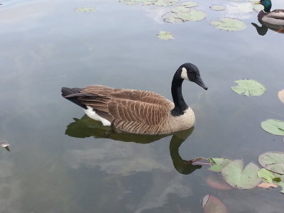 20160604_124116.jpg