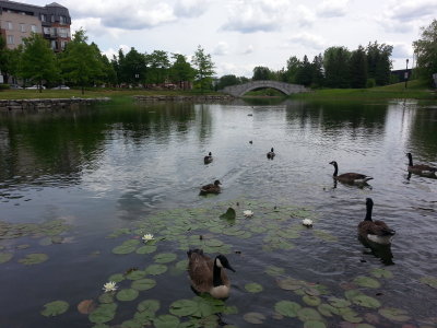 20160604_124133.jpg