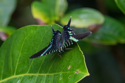 Costa Rica 2016