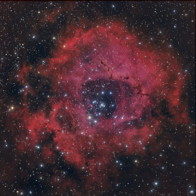 Rosette Nebula