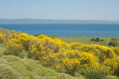 LESBOS-Mei-2013