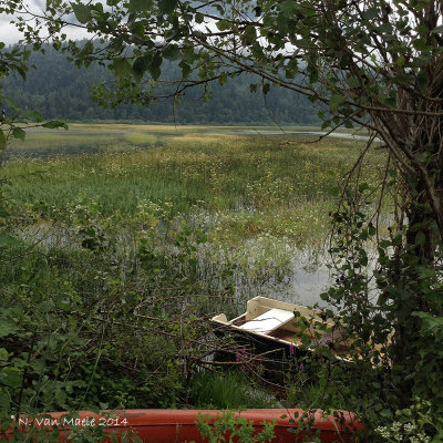 Cerknica Lake