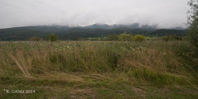 Cerknica Lake