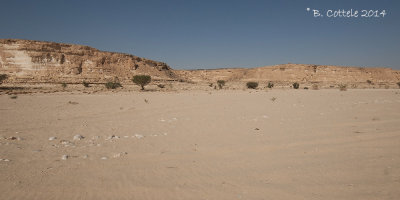 Wadi Thuayt