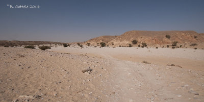 Wadi Banawt