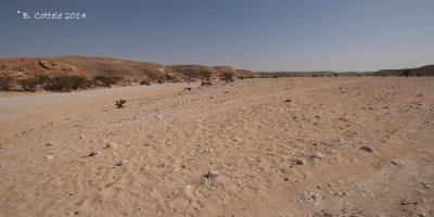 Wadi Banawt