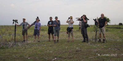 Birding at Kobuleti