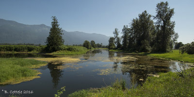 view from the Eagle Tree Lodge