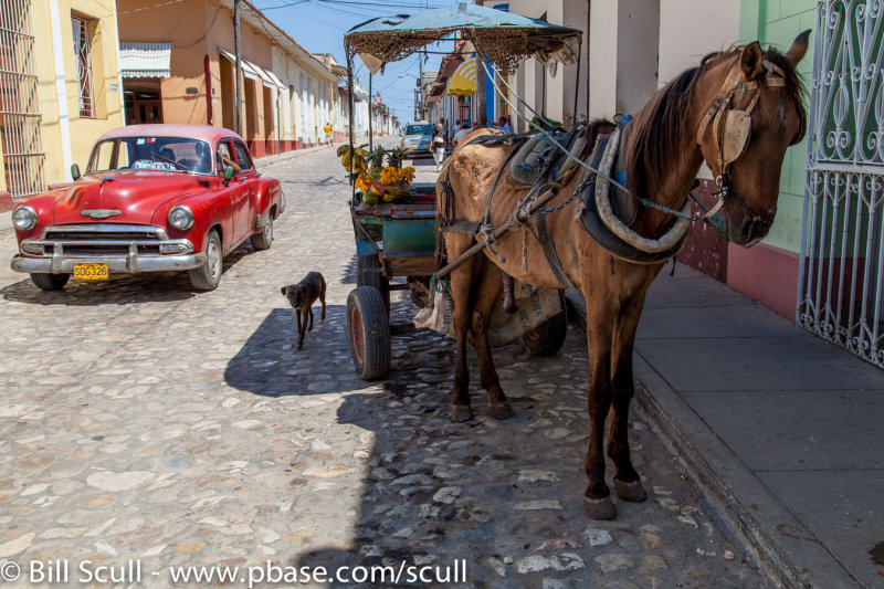 Cuba-249.jpg