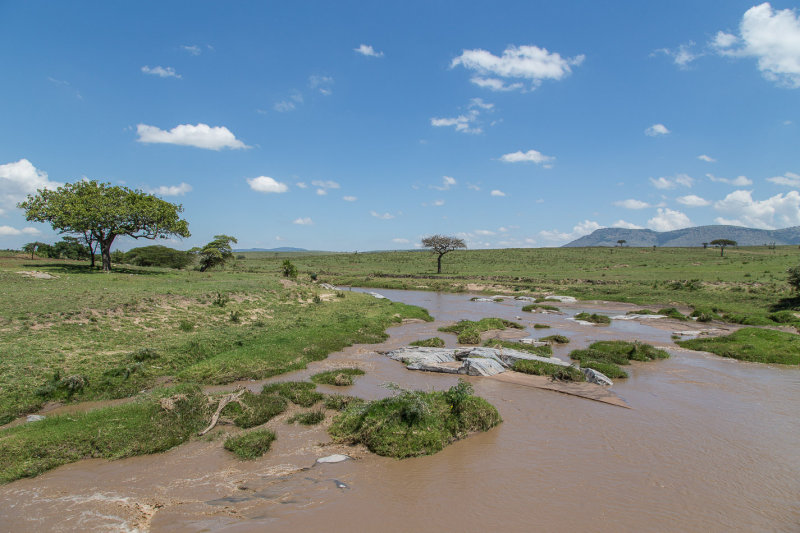 Africa-153.jpg