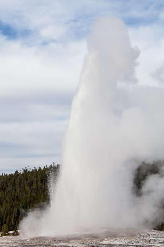 _MG_5538.jpg