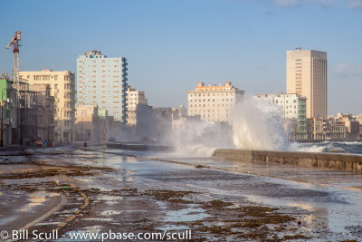 Havana