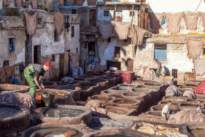 Fez Tannery #6