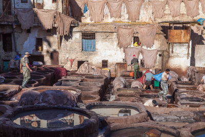 Fez Tannery #7