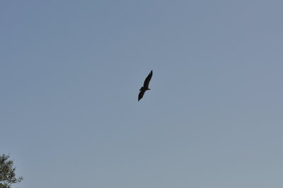 g9/36/1056436/3/155259532.L99aSPFd.jpg