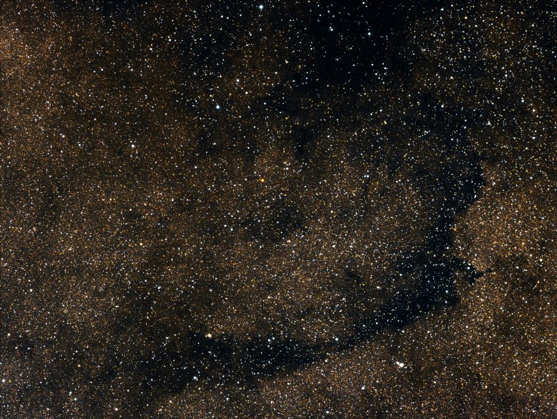 B283 dark nebula (The Lizard nebula)