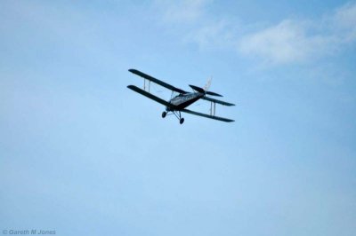Tiger Moth 3306