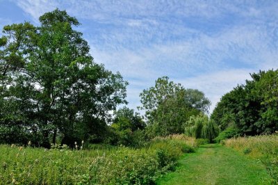 River Stour 3230