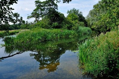 River Stour 3232