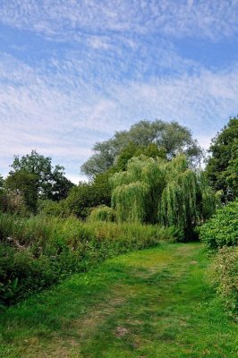 River Stour 3234