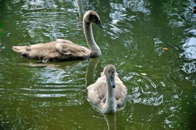 River Stour 3240