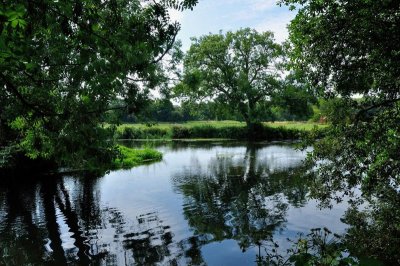 River Stour 3241