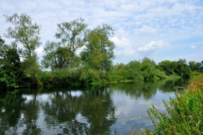River Stour 3263