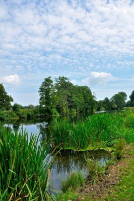 River Stour 3265