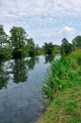 River Stour 3266