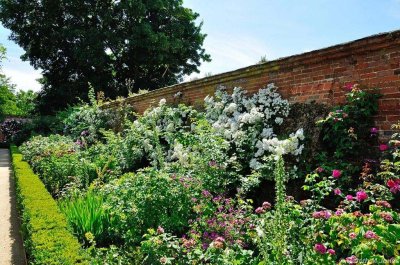 Mottisfont 2622