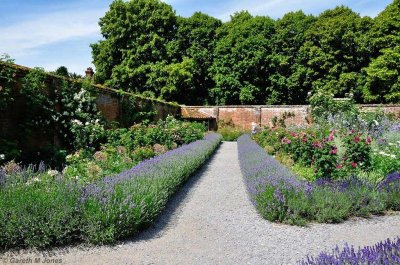 Mottisfont 2635