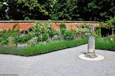 Mottisfont 2644