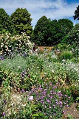 Mottisfont 2652