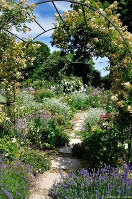 Mottisfont 2653