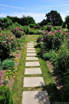 Mottisfont 2659