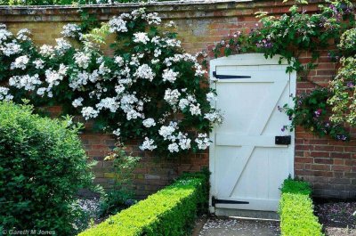 Mottisfont 2661