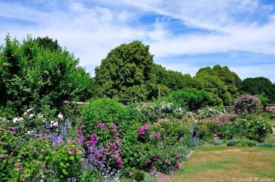 Mottisfont 2662