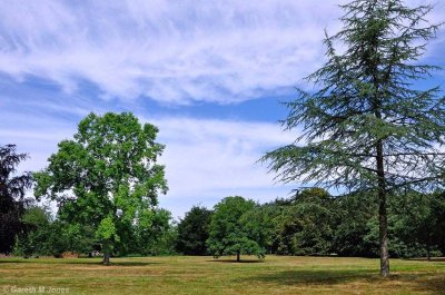 Mottisfont 2673