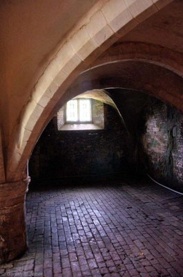 Mottisfont 2706