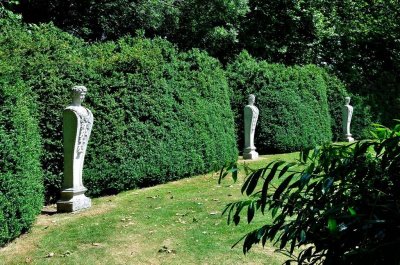 Mottisfont 2726