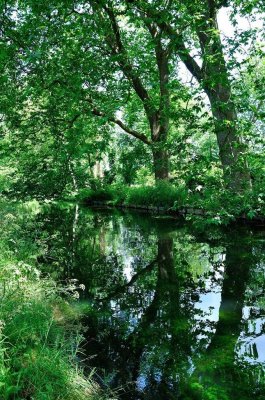 Mottisfont 2731