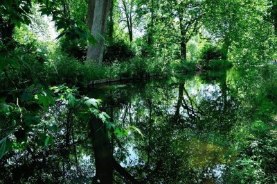 Mottisfont 2732