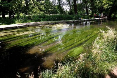 Mottisfont 2753