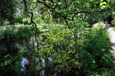 Mottisfont 2757