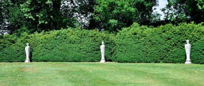 Mottisfont 2763