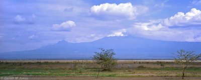 Mount Kilimanjaro, Amboseli 0113