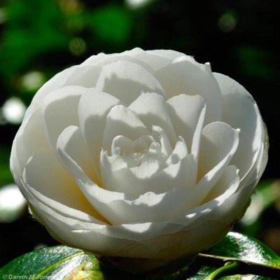 g9/36/1116236/3/153176990.Lkh7JsCP.jpg