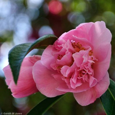 g9/36/1116236/3/153177005.dUSnLM7g.jpg