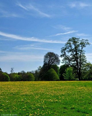 Landscape, Kingston Lacy 1292